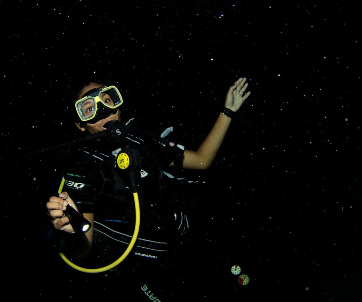 Guided Night Dive