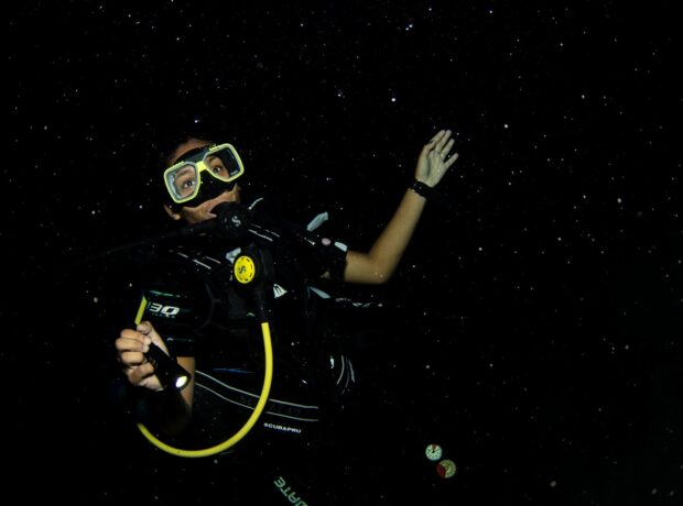 Guided Night Dive
