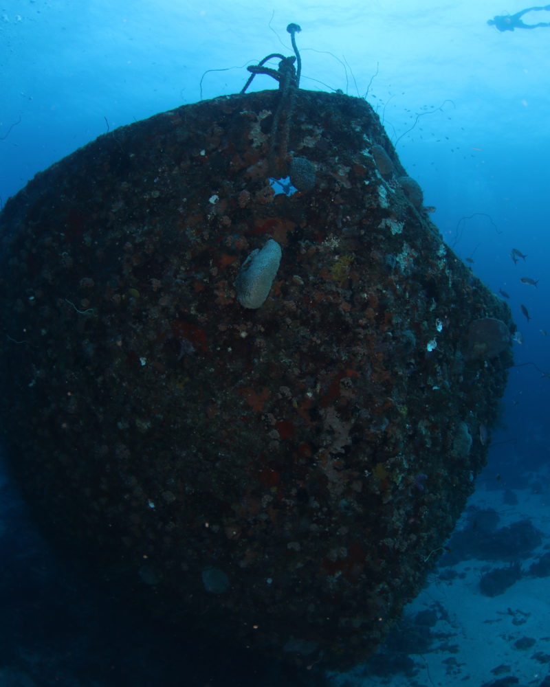 Diving at Superior producer wreck in Curacao