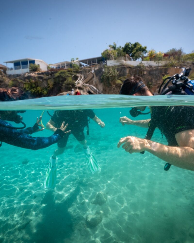 divers learning how to dive