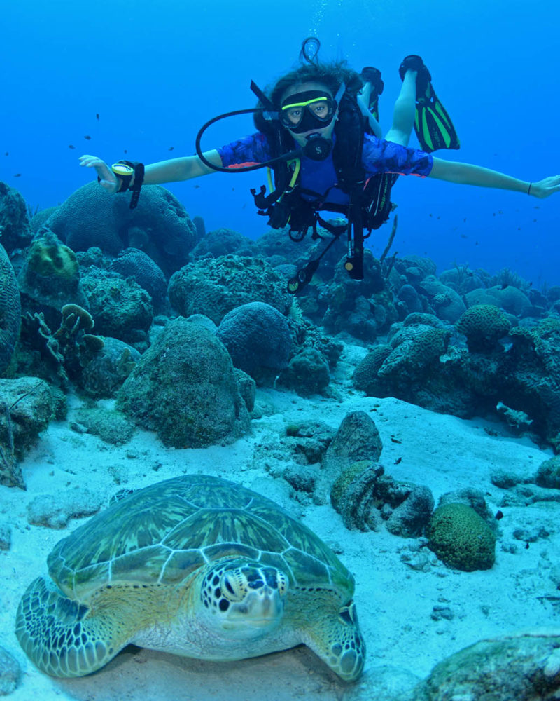 diver next to a green turtle