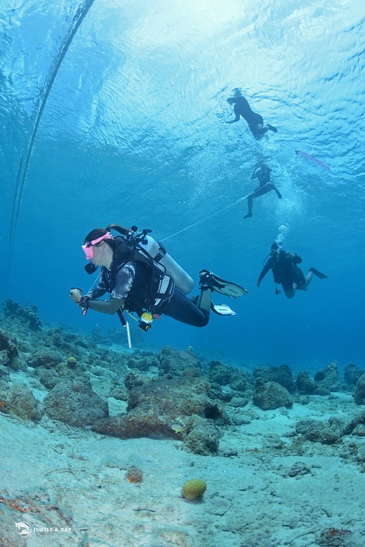 Women diving in the underwater world of Curacao