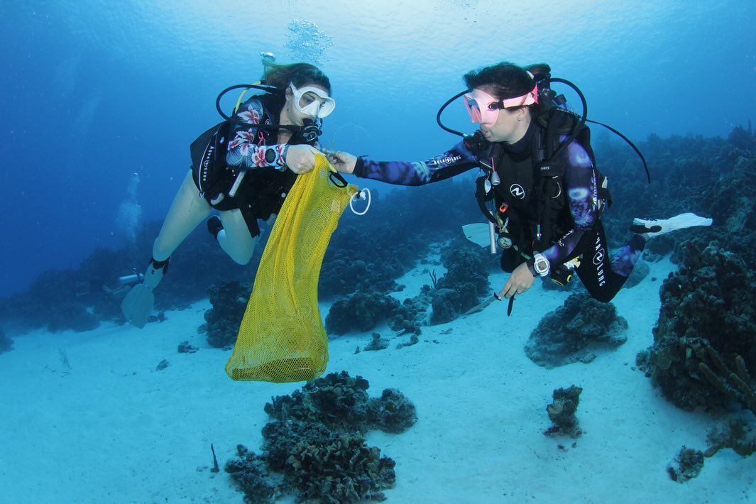 Celebrating the Underwater World: The International Scuba Day