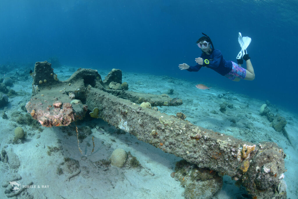 snorkeling at Tugboat