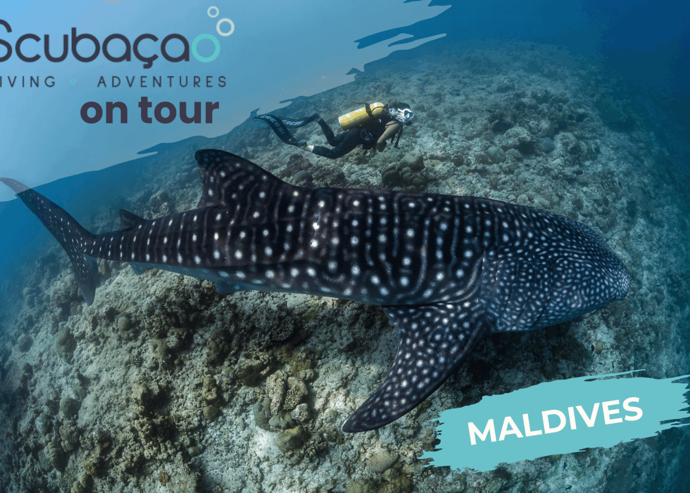 Scubaçao on Tour “MALDIVES EDITION”