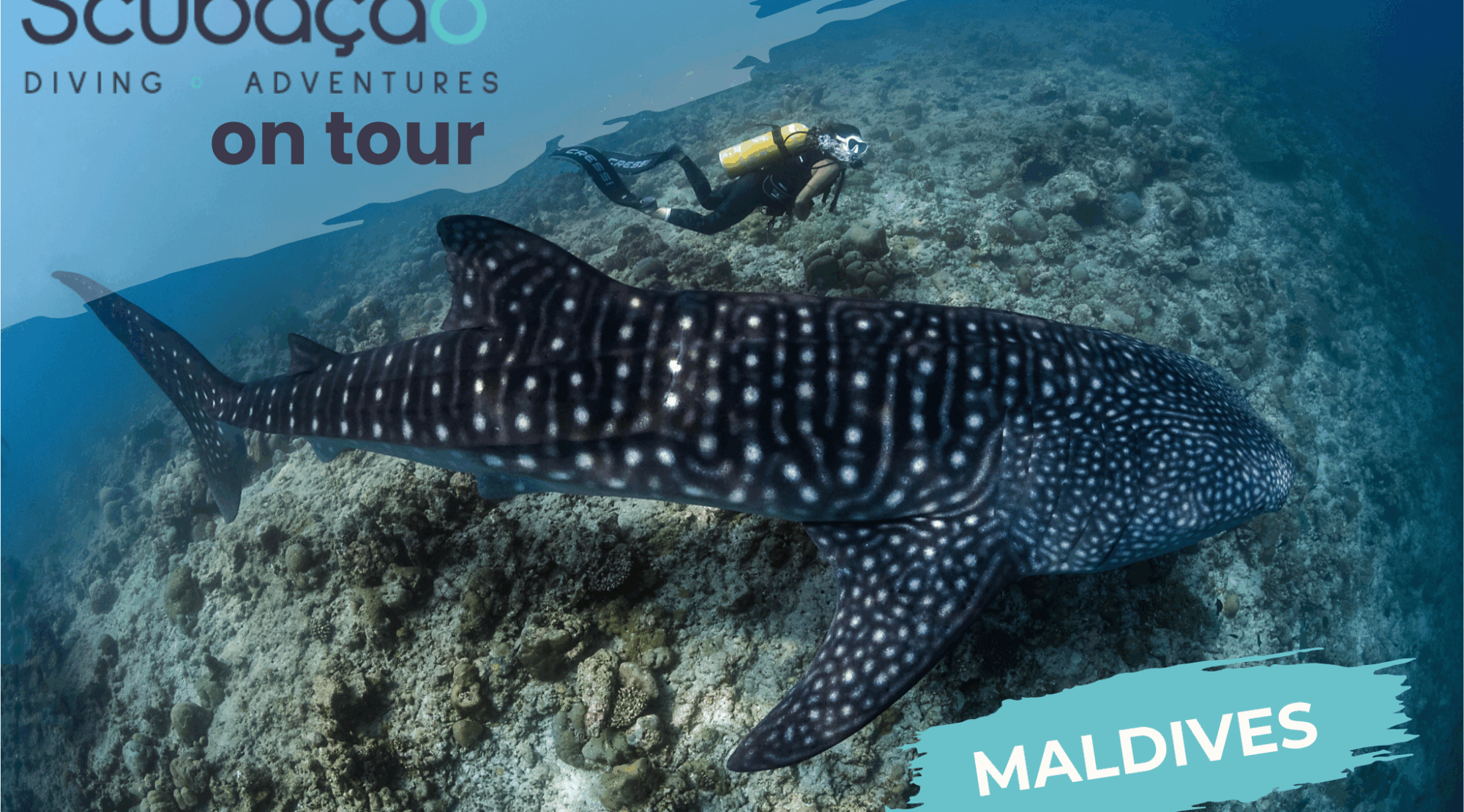 Scubaçao on Tour “MALDIVES EDITION”