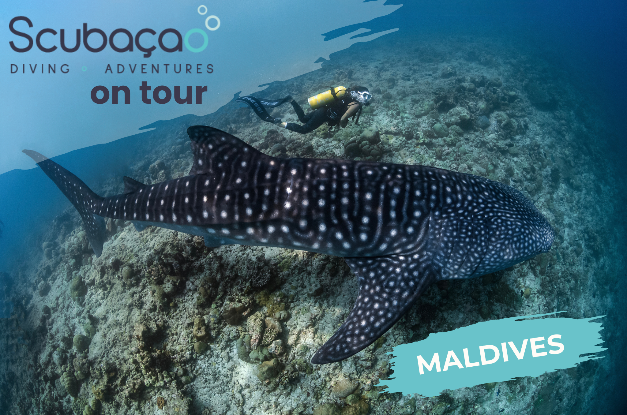 Scubaçao on Tour “MALDIVES EDITION”