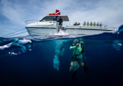 Boat Guided Dive to Eastpoint (2 tanks)